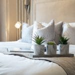 Plants on Bed