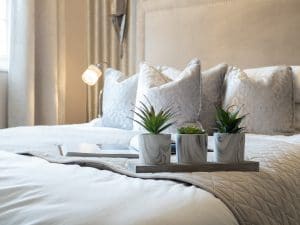 Plants on Bed