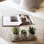 Plants and Open Book on Bed