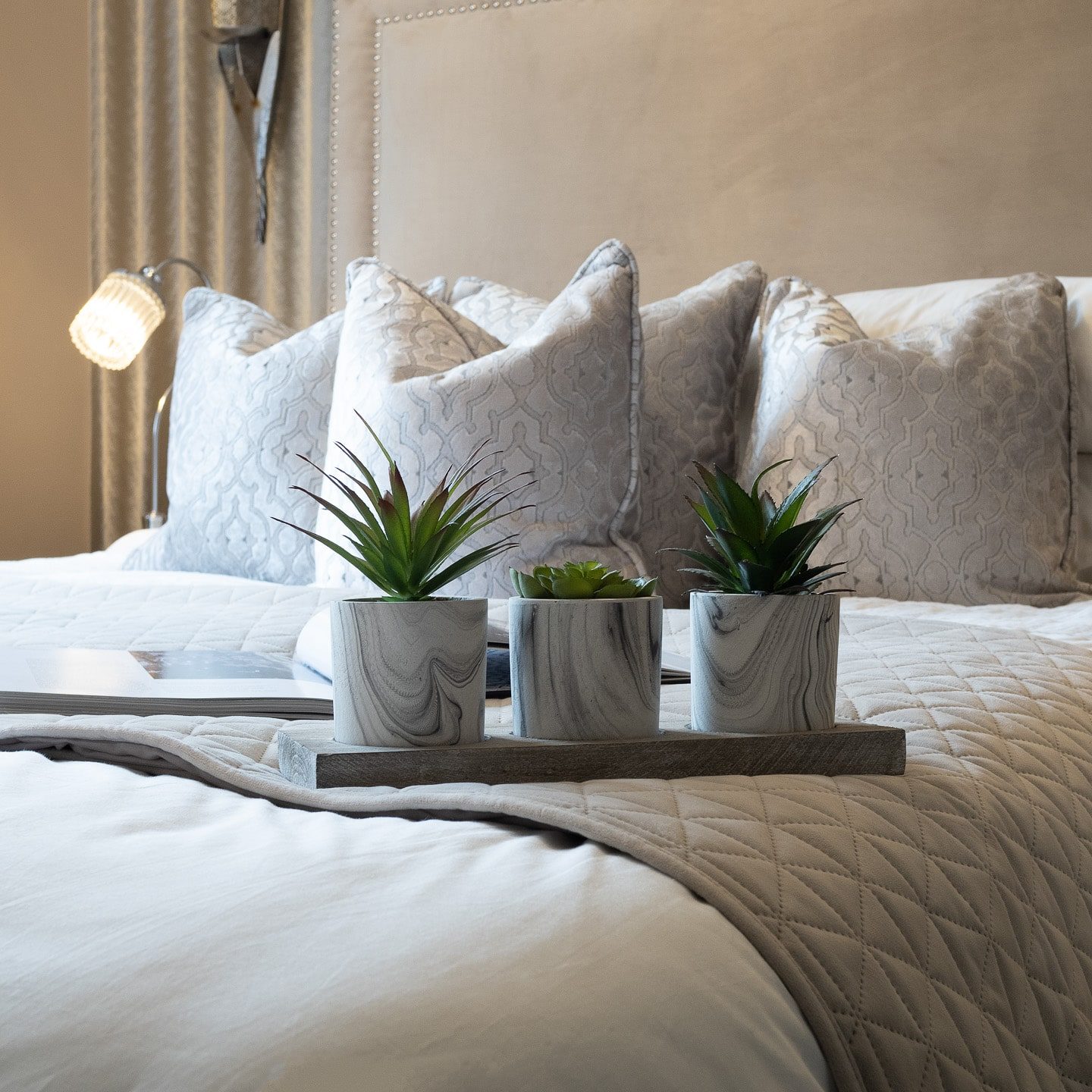 Plants on Bed